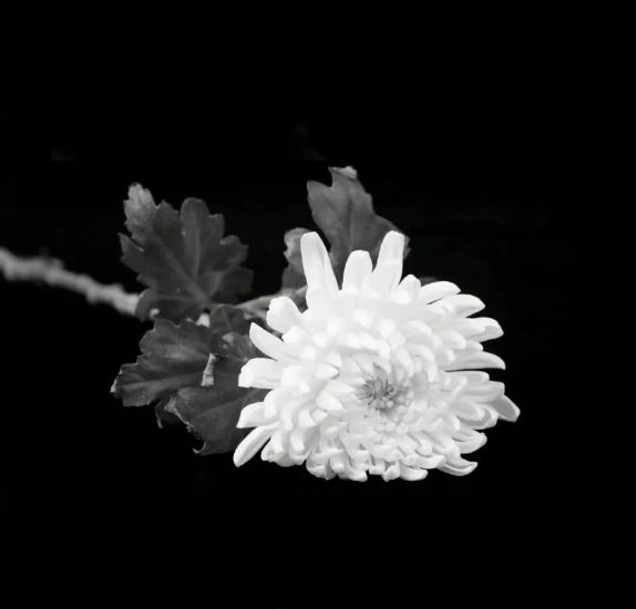 沉痛悼念【2022年11月30日】_党课ppt_党课课件_党课讲稿_党课材料_纵横材料网