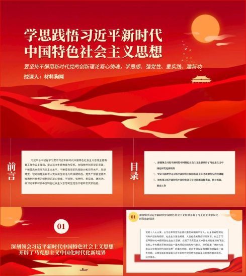 附稿|学思践悟新思想支部书记讲主题教育党课ppt课件_党课ppt_党课课件_党课讲稿_党课材料_纵横材料网