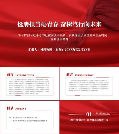 附稿|挺膺担当砺青春在同团中央新一届领导班子成员集体谈话时的重要讲话精神ppt课件_党课ppt_党课课件_党课讲稿_党课材料_纵横材料网
