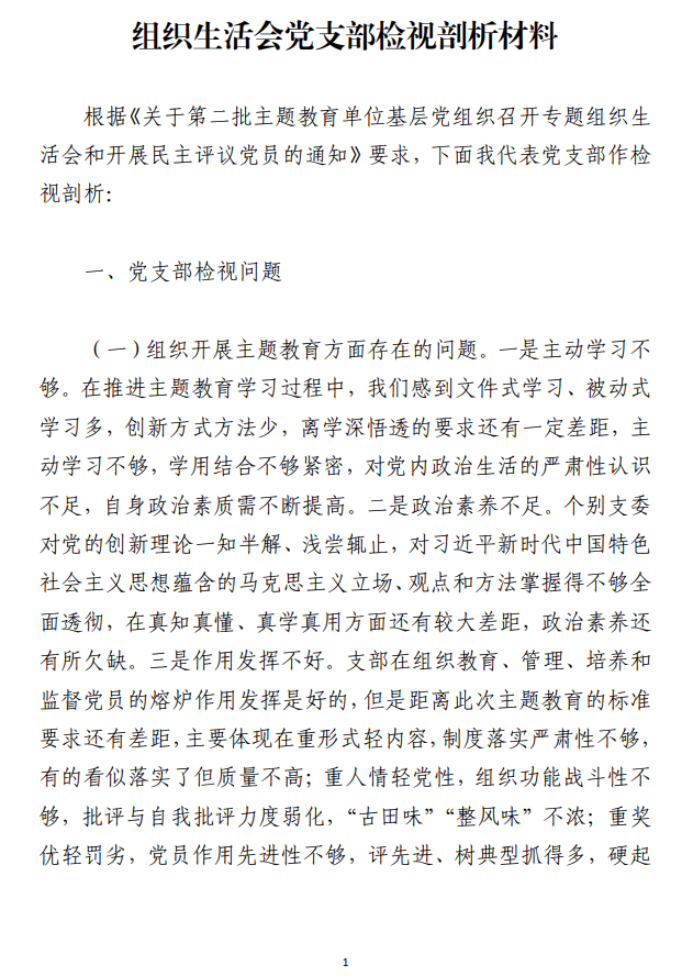 2023年主题教育专题组织生活会党支部检视剖析材料_纵横材料网