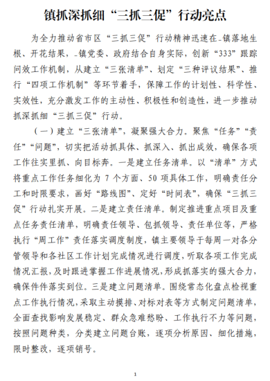 镇抓深抓细“三抓三促”行动亮点_党课ppt_党课课件_党课讲稿_党课材料_纵横材料网