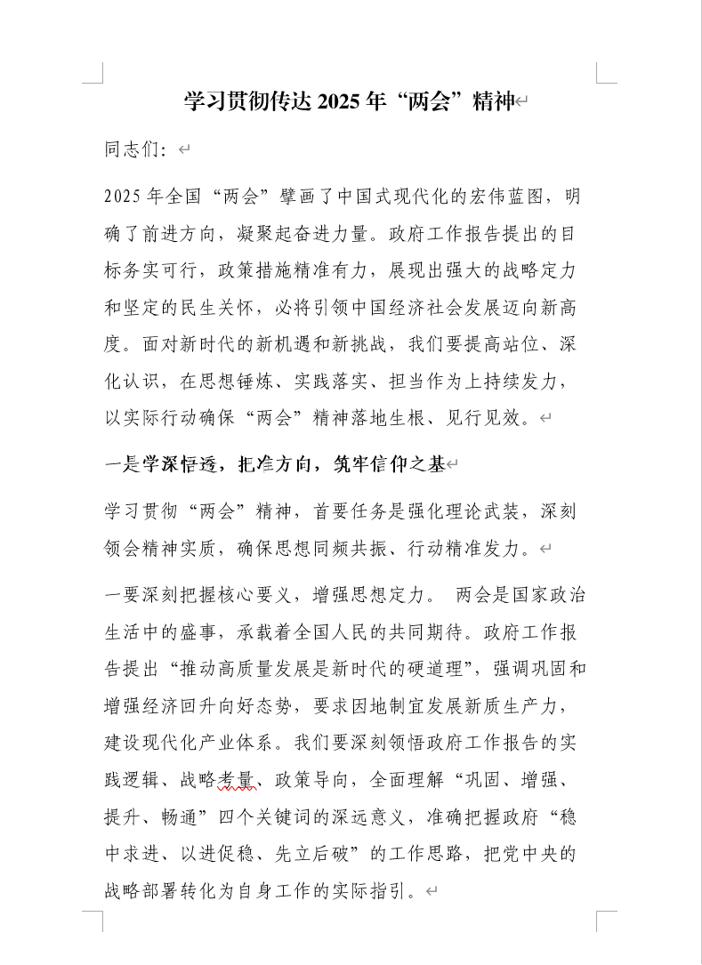 2025年两会精神传达学习心得体会范文参考学习_纵横材料网