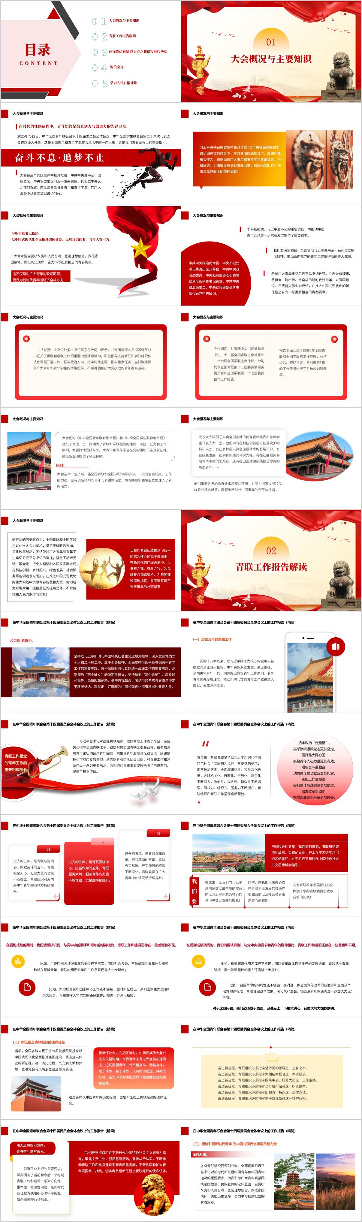 学习中华全国青年联合会第十四届委员会全体会议
